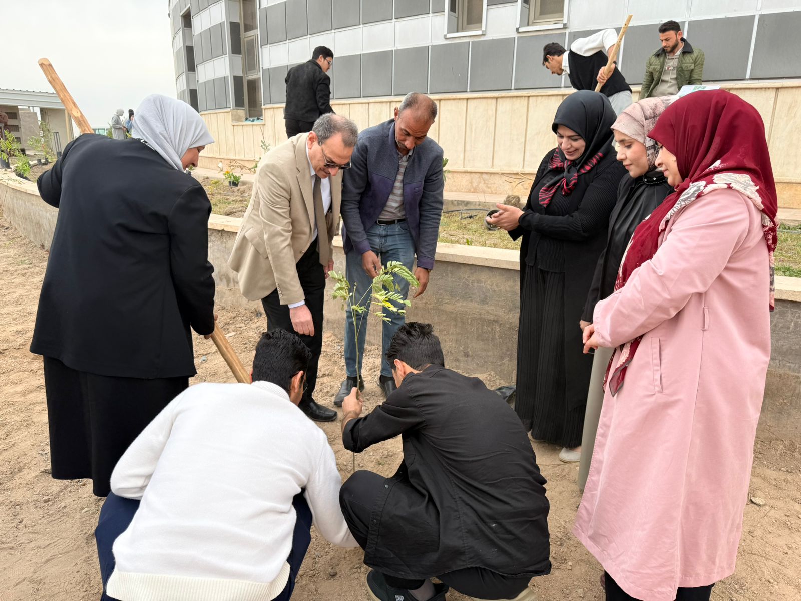 University of Fallujah Launches Afforestation Campaign on National Day