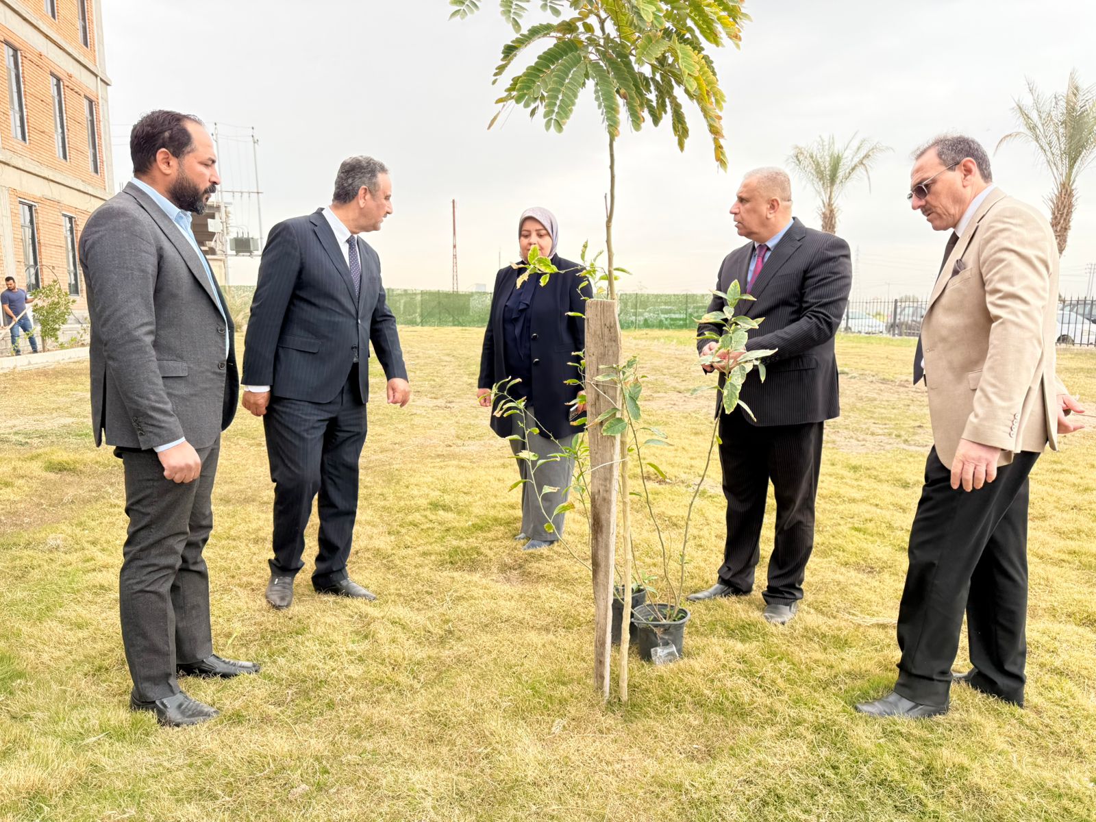University of Fallujah Launches Afforestation Campaign on National Day